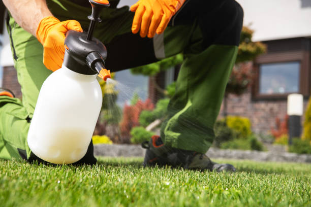 Best Wasp Removal Services  in Theresa, WI