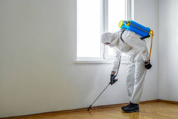 Best Local Pest Control Services  in Theresa, WI