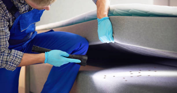 Best Pest Control Treatment  in Theresa, WI