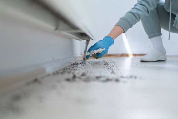 Best Affordable Pest Control Services  in Theresa, WI