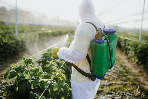 Best Commercial Pest Control Services  in Theresa, WI